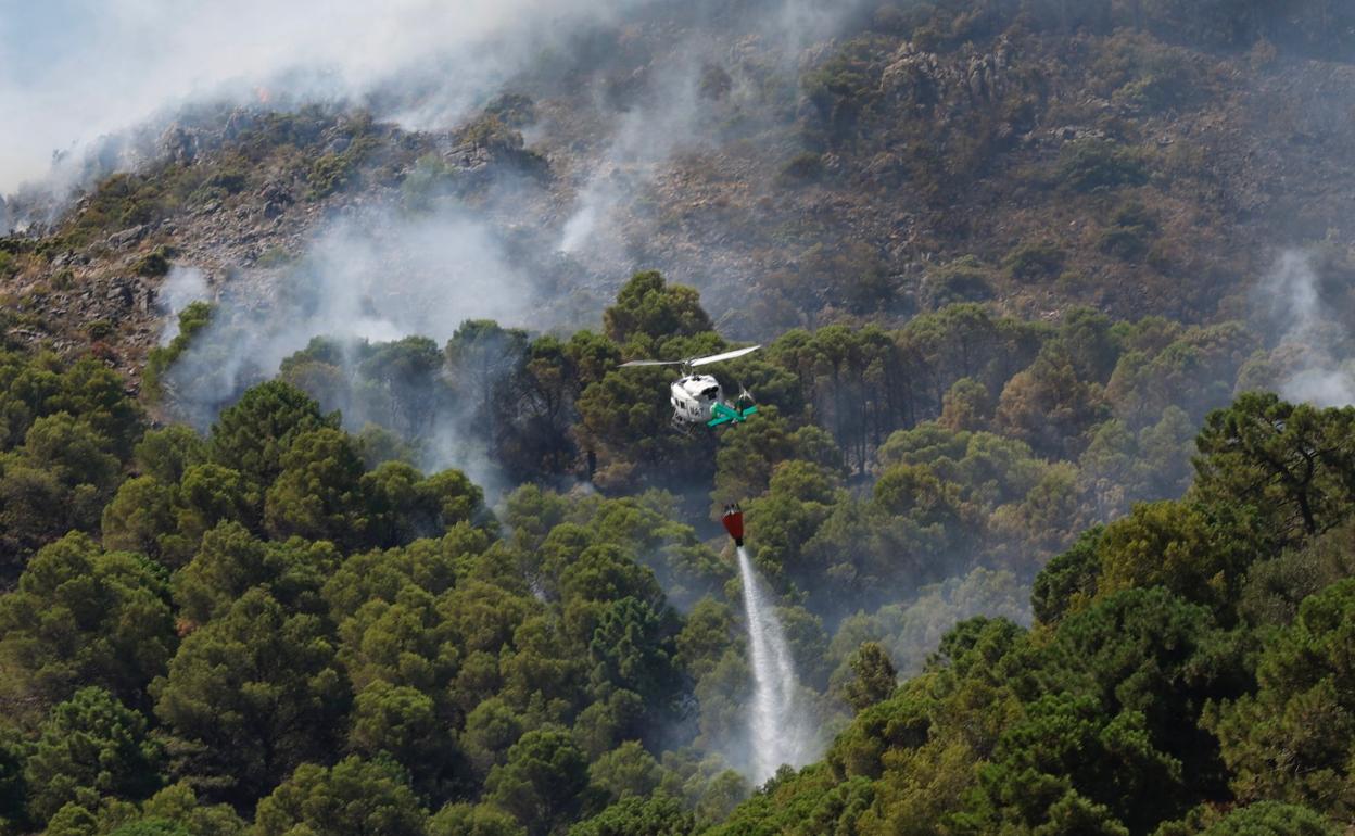 Incendio Málaga: «La previsión meteorológica no es buena para el incendio»