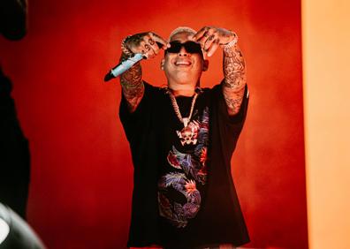 Imagen secundaria 1 - Torremolinos vive una noche histórica: el último concierto de Daddy Yankee en España
