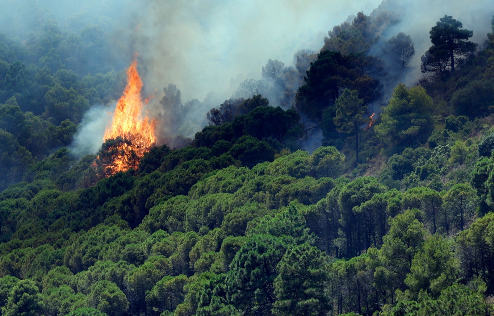 Labores de extinción el sábado por la mañana. 