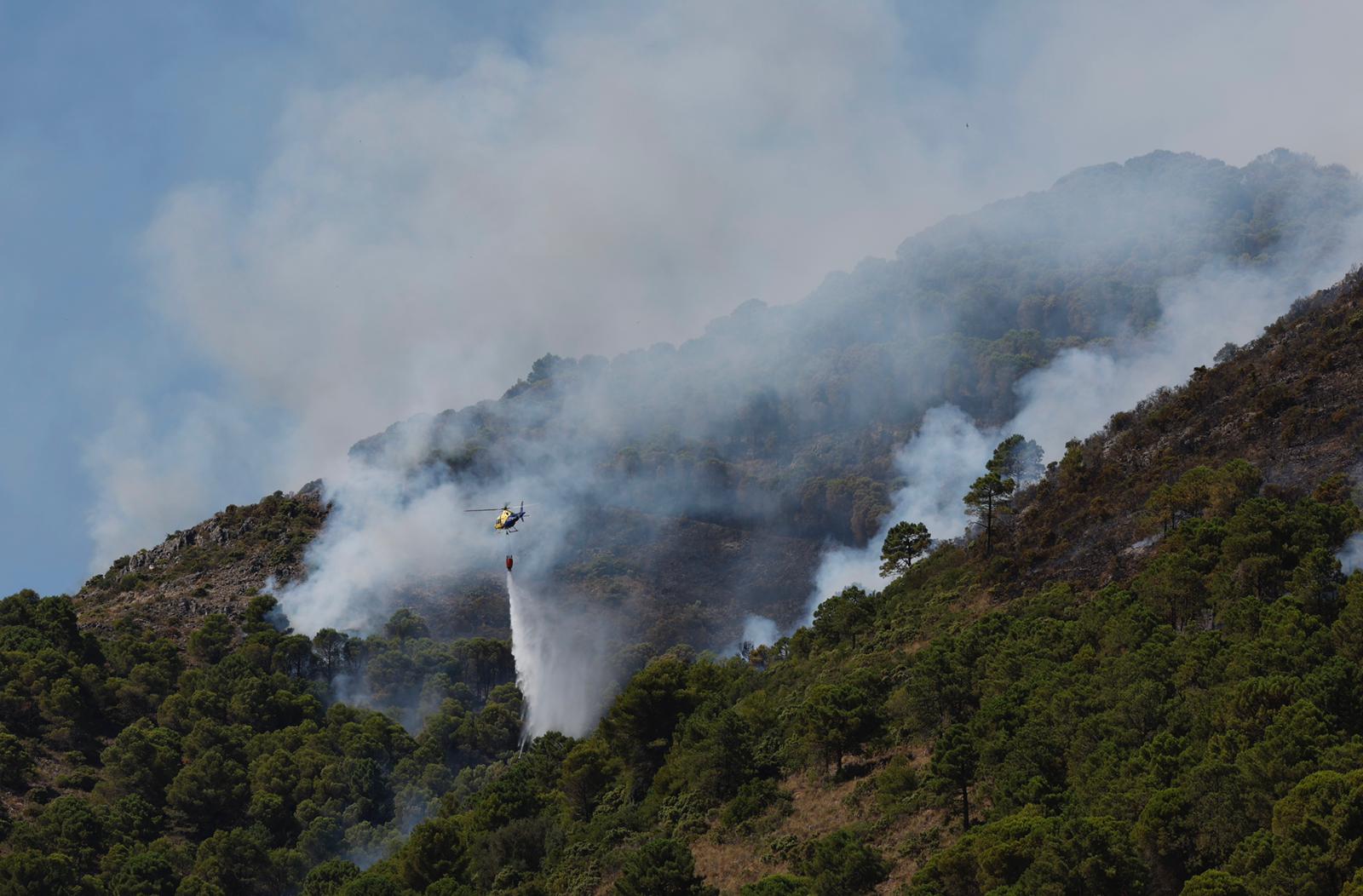 Labores de extinción el sábado por la mañana.