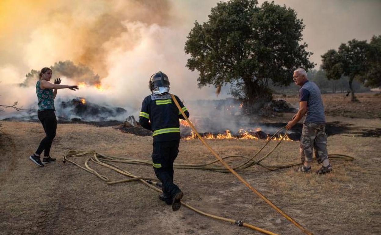 Un bombero y dos vecinos trabajan en la extinción del incendio de Losacio. 