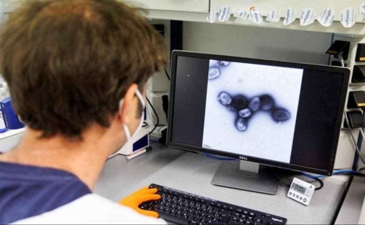 El aviso de un experto de la OMS sobre la viruela del mono: «No tardaremos en declarar la pandemia»