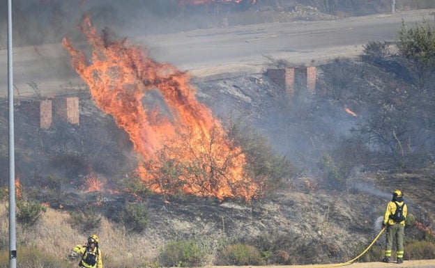 Imagen de dos bomberos forestales interviniendo en el incendio declarado en Estepona. 