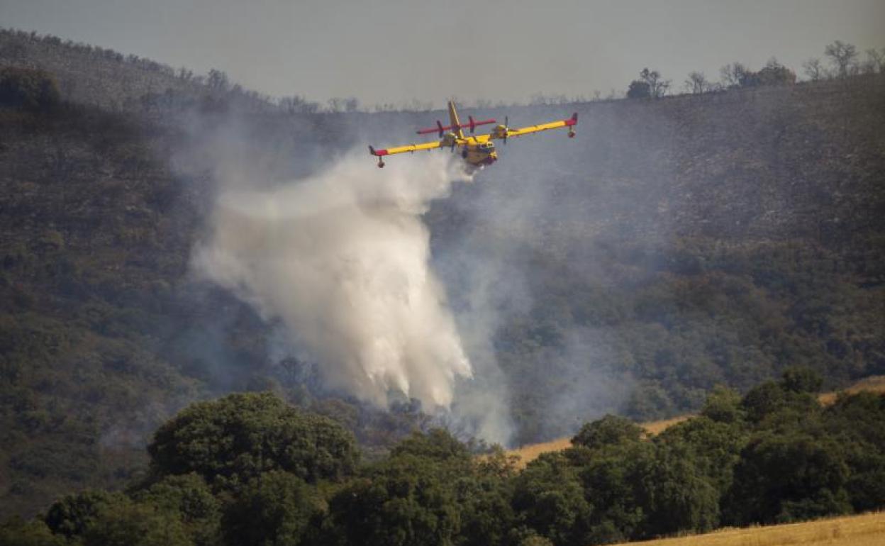 Un hidroavión trabaja en el incendio de Malagón. 