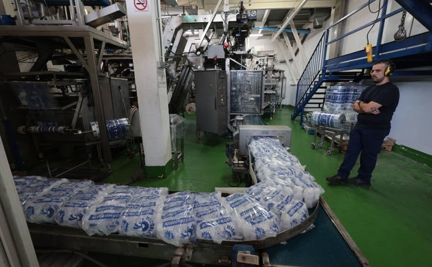 La línea de producción de la fábrica de Hicosol, a pleno rendimiento. 