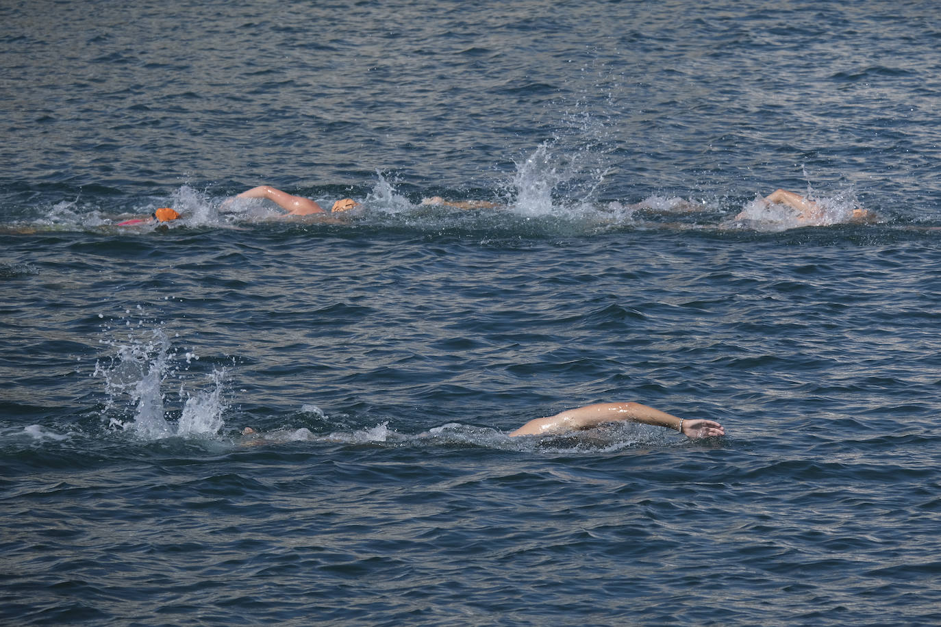 Más de medio millar de nadadores participaron en la prueba 