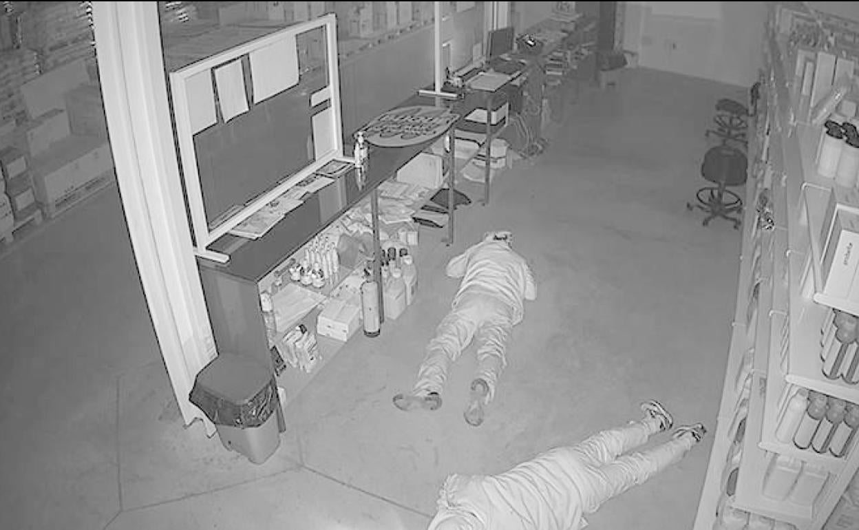 Dos detenidos acusados de 23 robos en negocios agrícolas de Málaga, Almería, Granada y Alicante