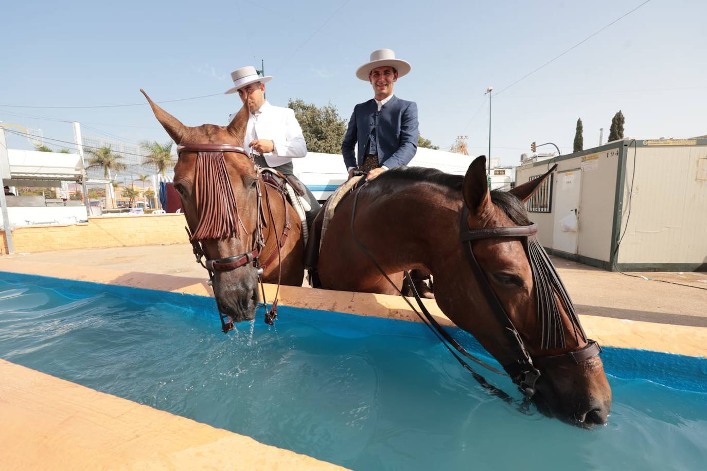 Mayores, familias y caballistas ambientaron el real de la Feria en la tarde del domingo 