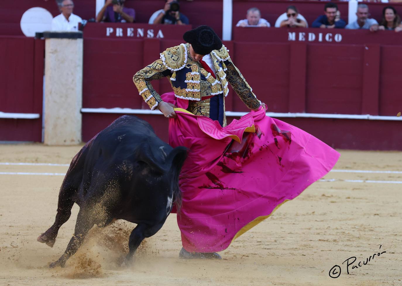 El torero malagueño quedó inconsciente en el ruedo tras un golpe en la cara al ser cogido de manera sobrecogedora. 