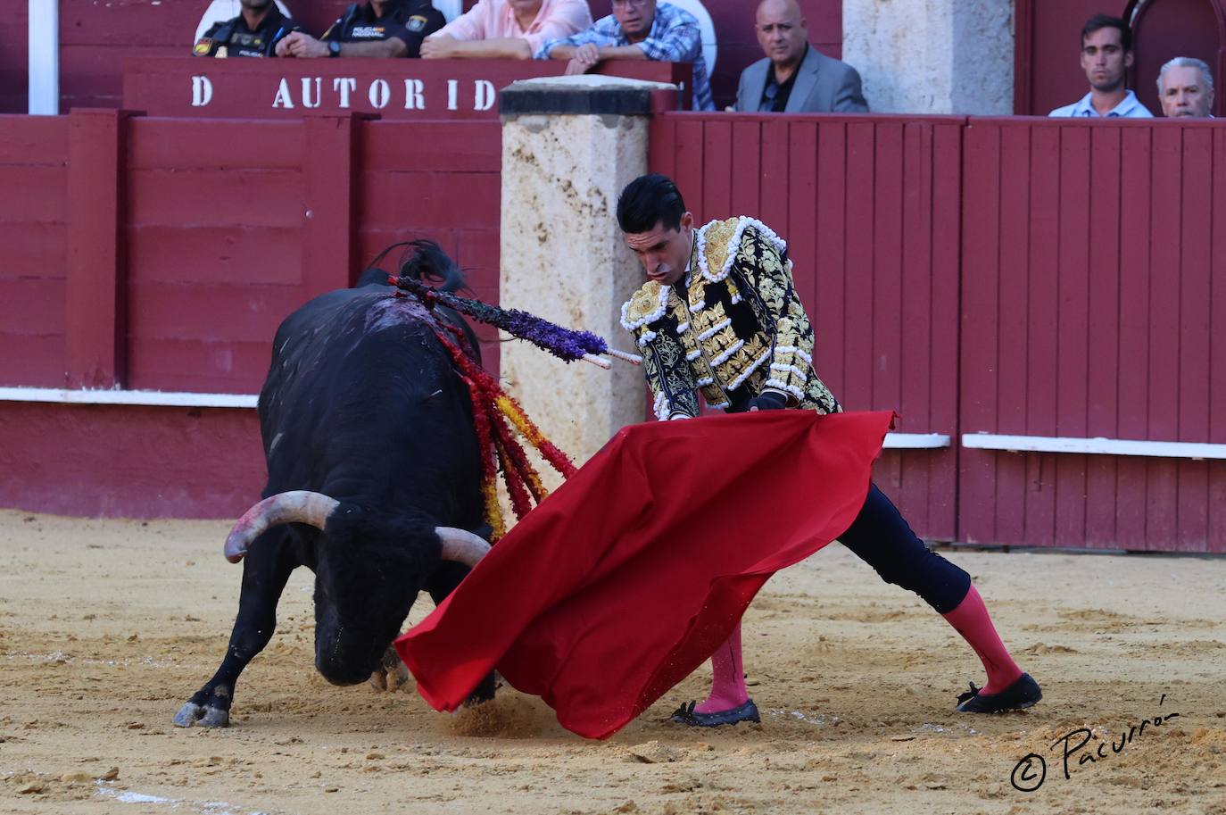 El torero malagueño quedó inconsciente en el ruedo tras un golpe en la cara al ser cogido de manera sobrecogedora. 