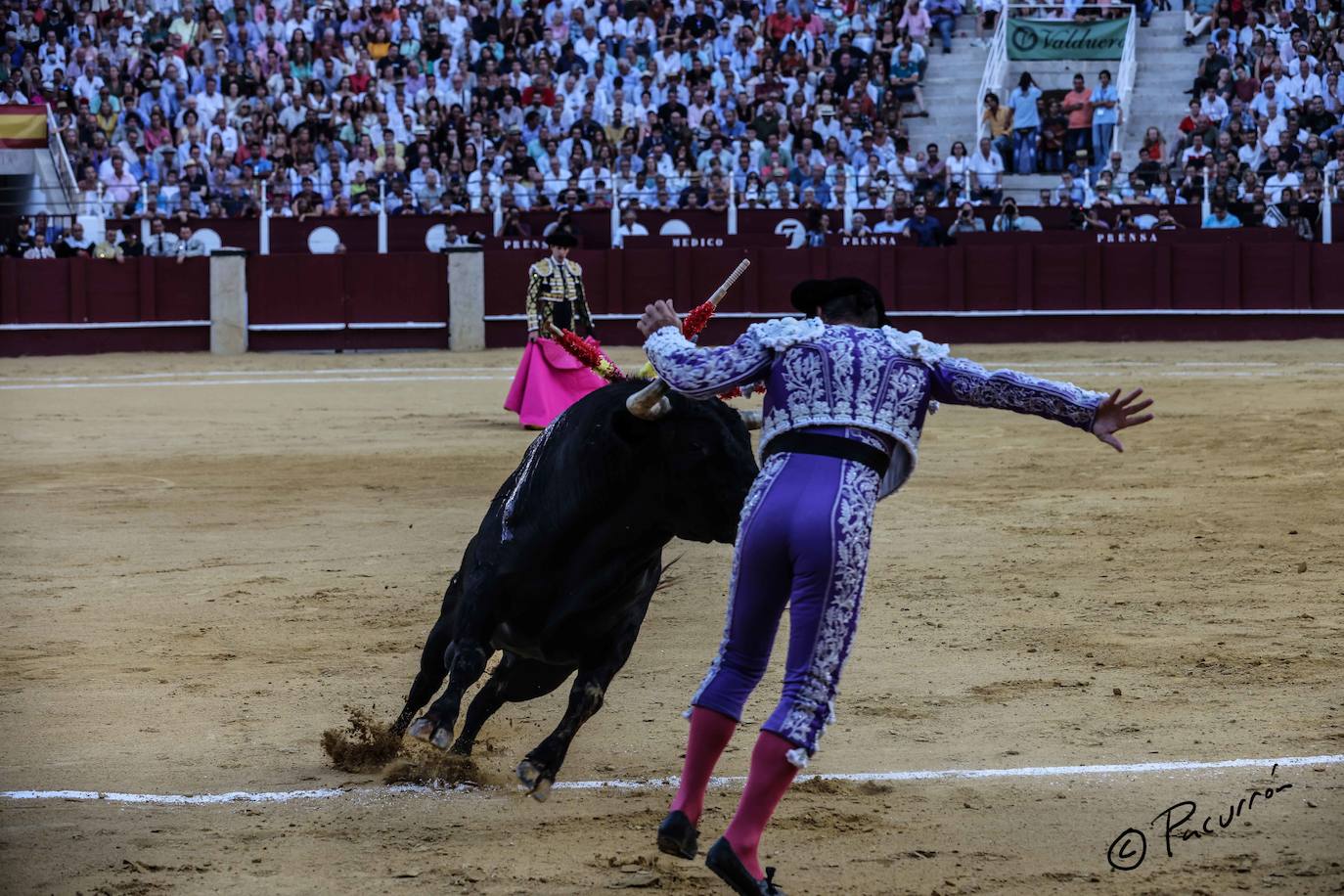 El torero malagueño quedó inconsciente en el ruedo tras un golpe en la cara al ser cogido de manera sobrecogedora. 