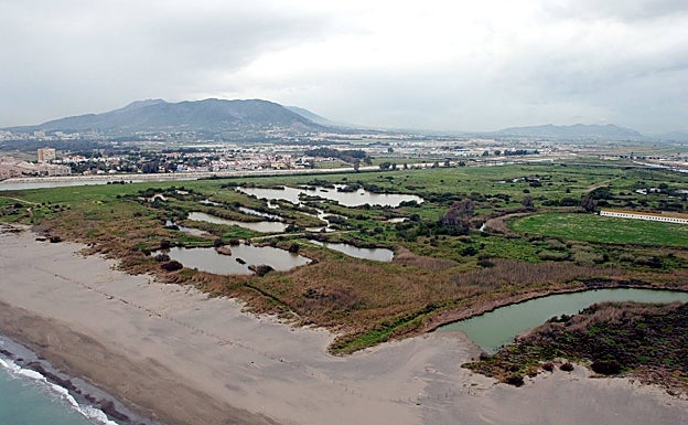 Paraje de la desembocadura del Guadalhorce. 