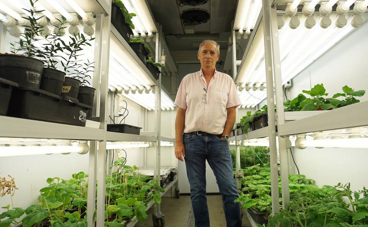 Eduardo Rodríguez Bejarano, en una de las cámaras de cultivo de plantas del IHSM-La Mayora. 