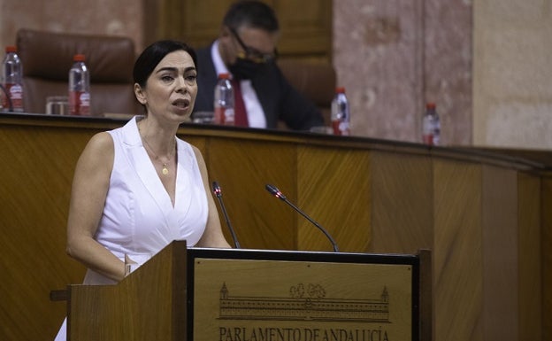 Teresa Pardo, en una de sus intervenciones como portavoz de Cs en el Parlamento. 