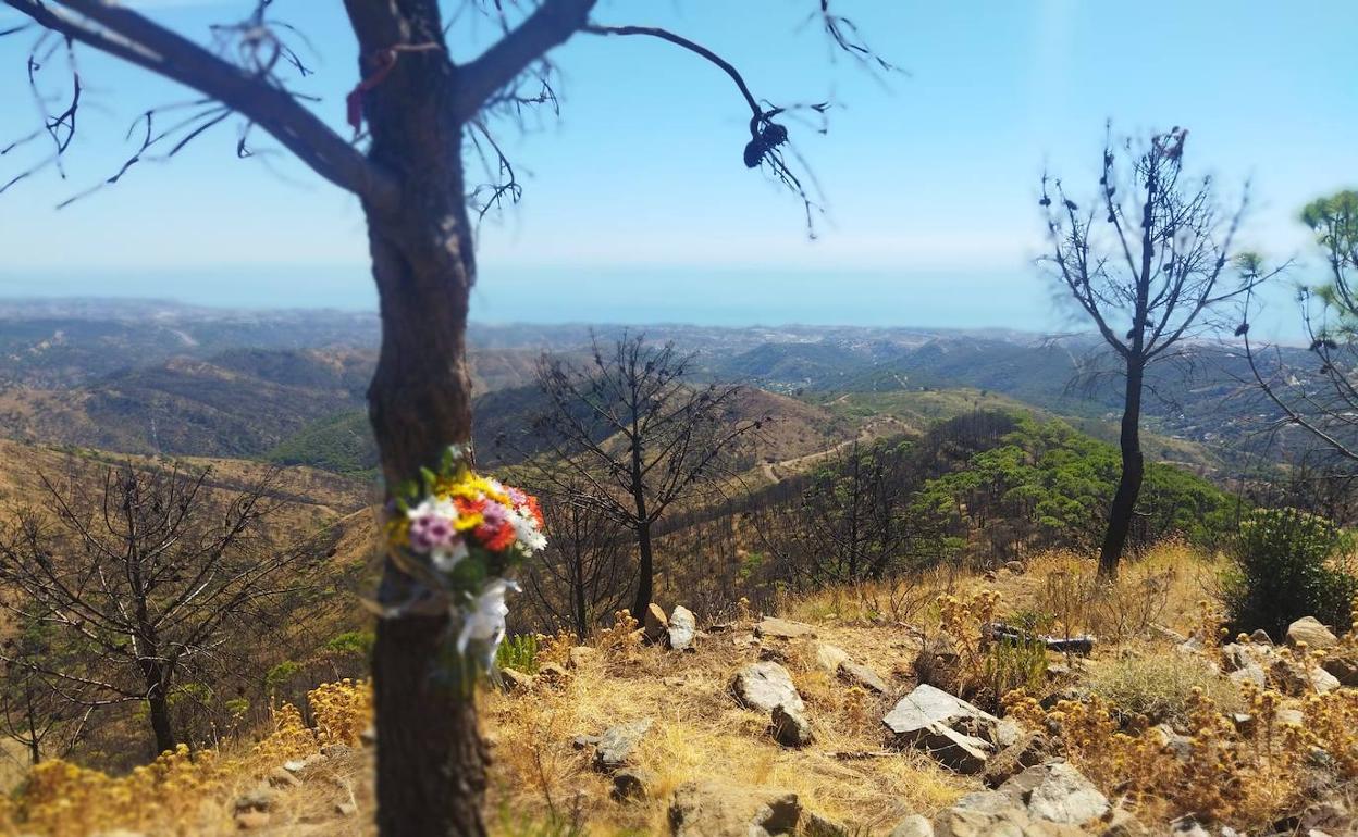 Un compañero bombero ha marcado con flores el lugar donde murió Carlos Martínez Haro. 