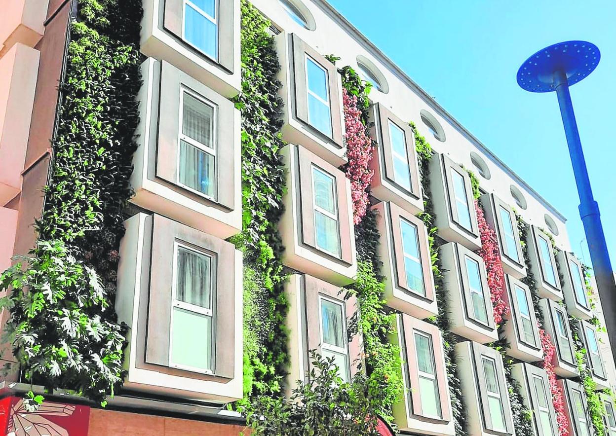 El Soho de Málaga estrena jardín vertical hidropónico