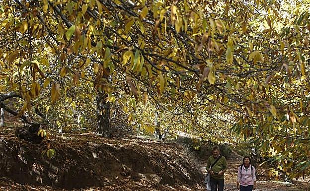 Aemet prevé que Andalucía tenga un otoño más cálido y más seco de lo normal
