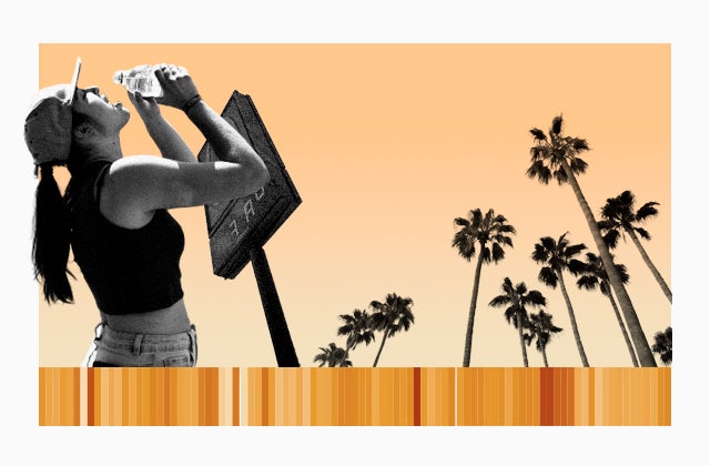 Ilustración: Alba Martín Campos