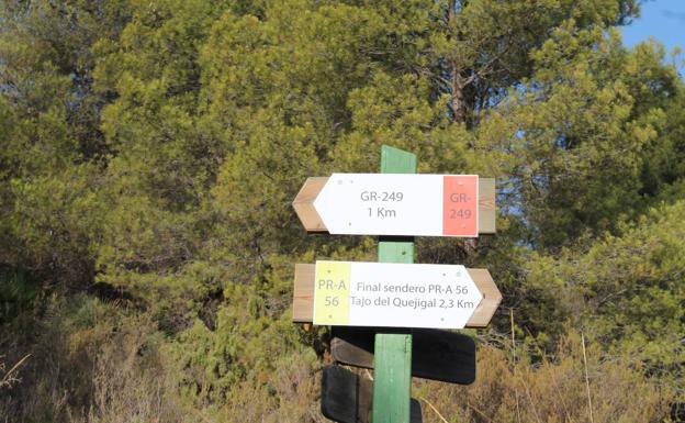 Imagen principal - Confluencia con la Gran Senda de Málaga. Balizas donde se señala este sendero y la etapa de la Gran Senda de Málaga. Buena parte de la primera parte del recorrido se hace dentro de un bosque.