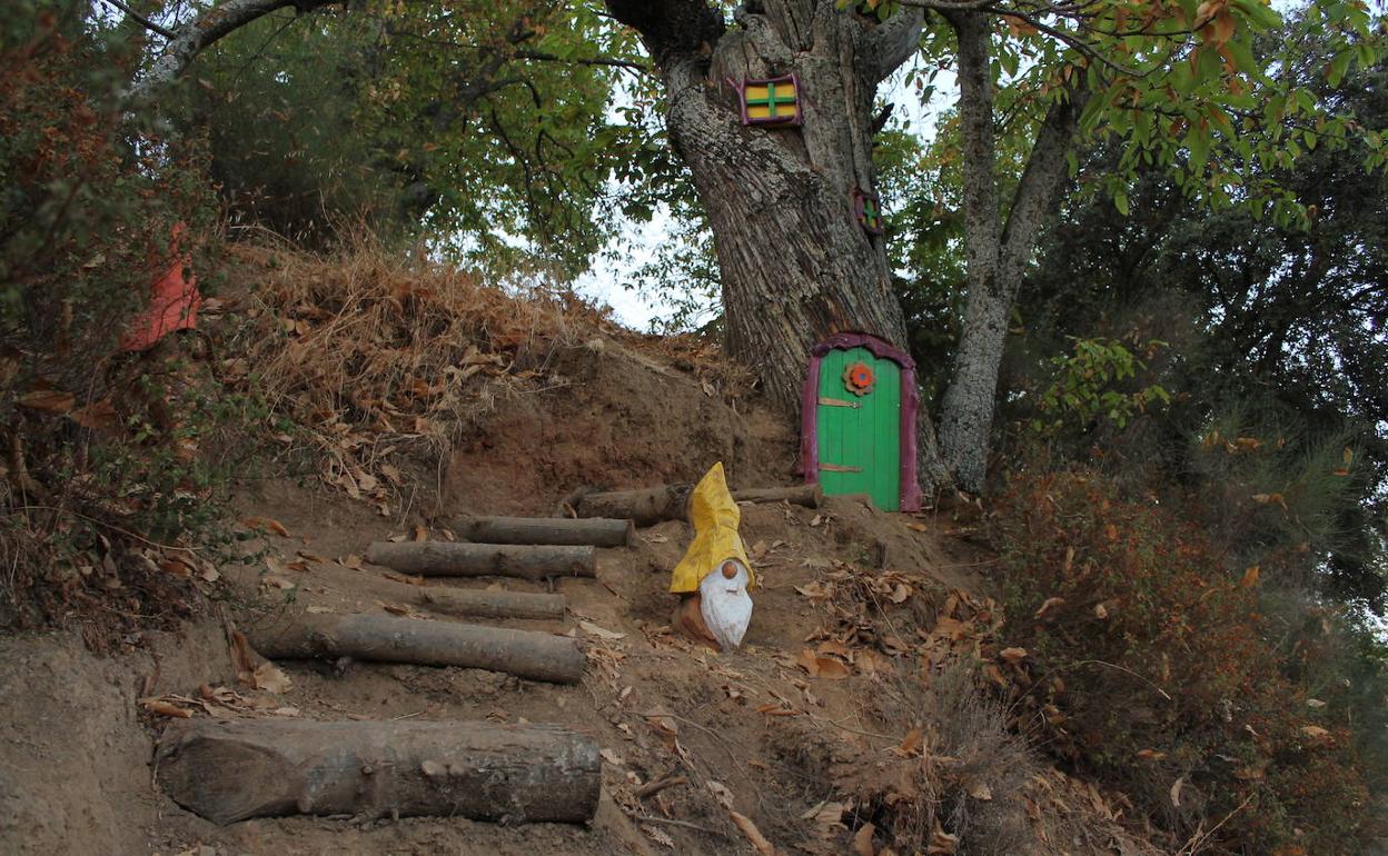 Senderismo: Sendero del Bosque Encantado | Diario Sur