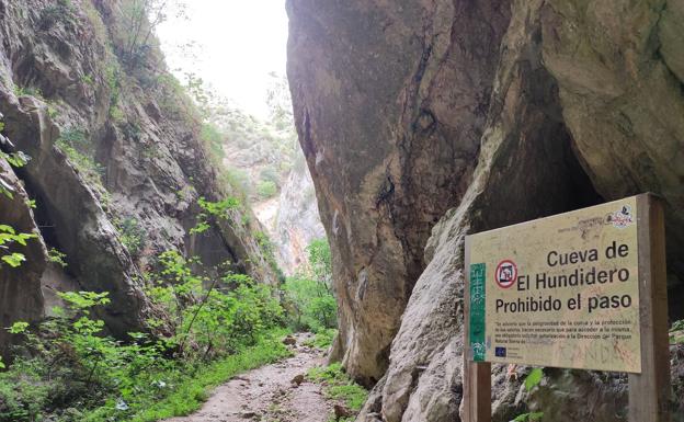 Imagen principal - No se puede entrar más de lo permitido. Las dimensiones de esta cavidad impresionan. Vista desde el interior de la gruta.