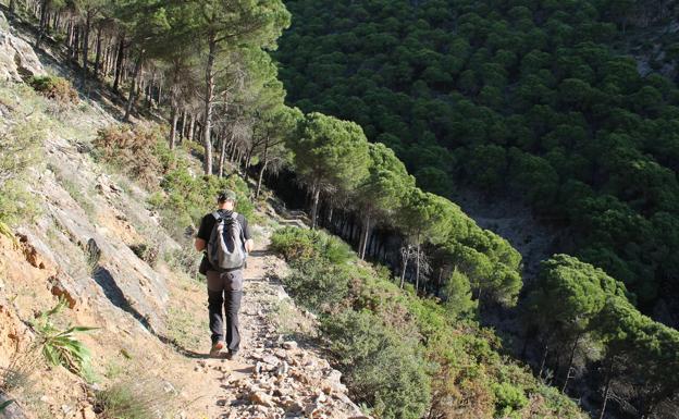 Cañada Gertrudis, en la sierra de Mijas.