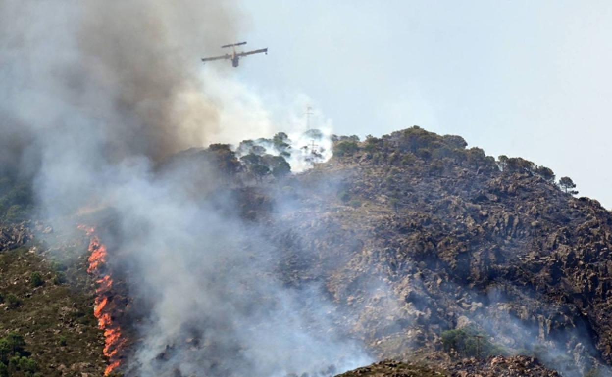 Actuación del Infoca durante el incendio de Sierra Bermeja