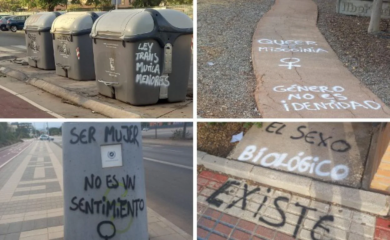 Mujer, persona del sexo femenino»: denuncian pintadas contra la Ley Trans  en la Universidad de Málaga | Diario Sur