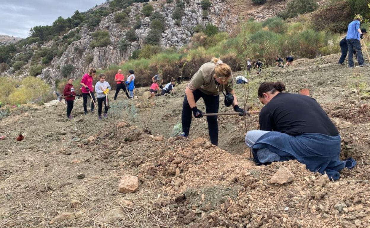 Plantación de árboles en Villanueva del Trabuco.