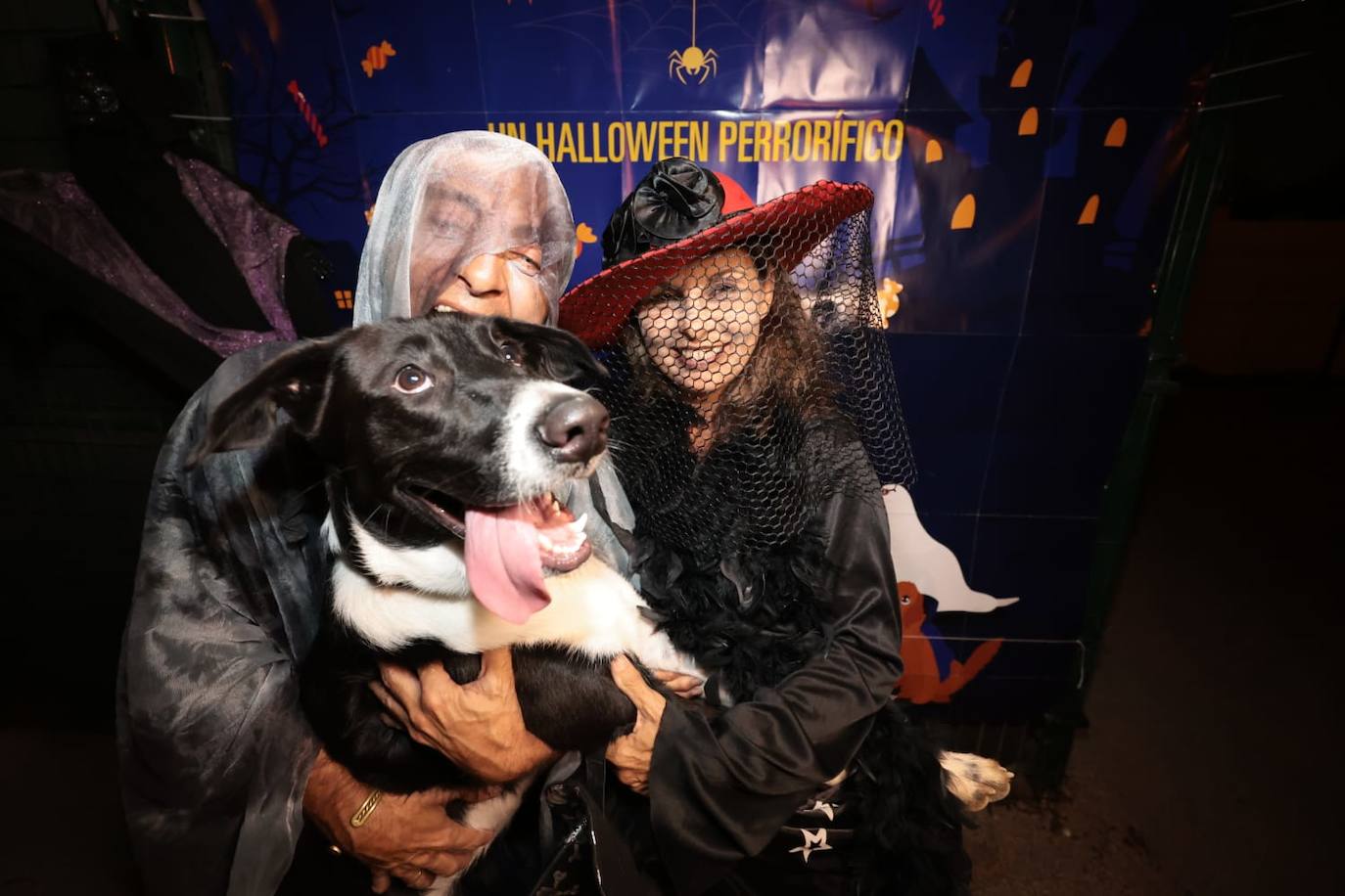 Halloween con mascotas en Guadalmar