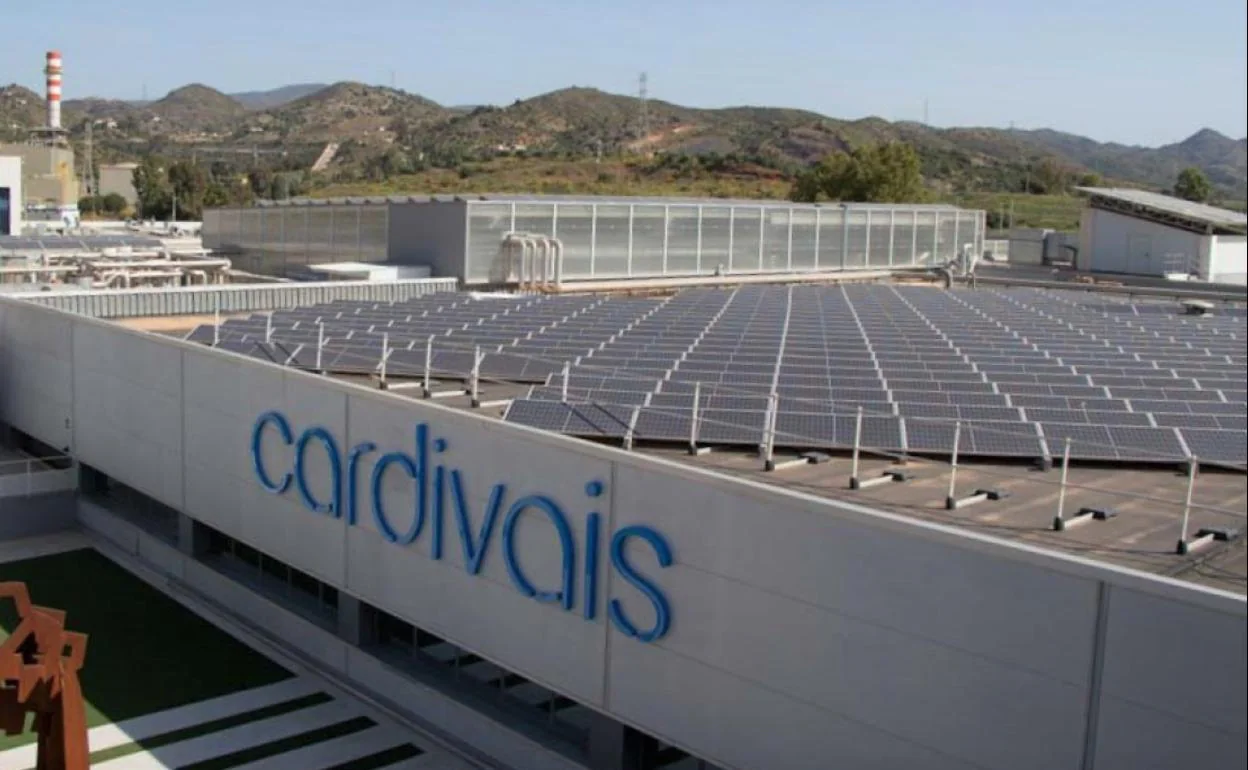 Paneles fotovoltaicos en la cubierta de la fábrica de Cardivais, en el Parque Tecnológico. 