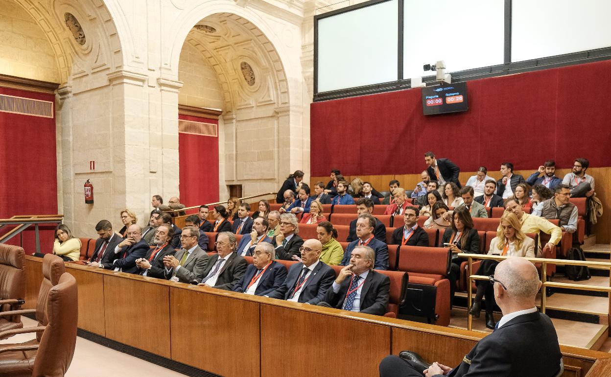 Representantes de los Colegios de Abogados de Andalucía, en la tribuna de invitados del Parlamento. 