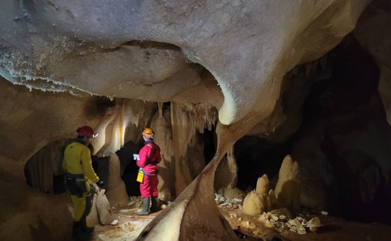 Vista del interior de la cueva de estegamitas en La Araña.