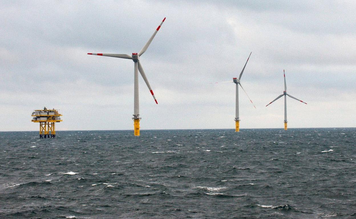 Parque eólico marino en el norte de Europa. 