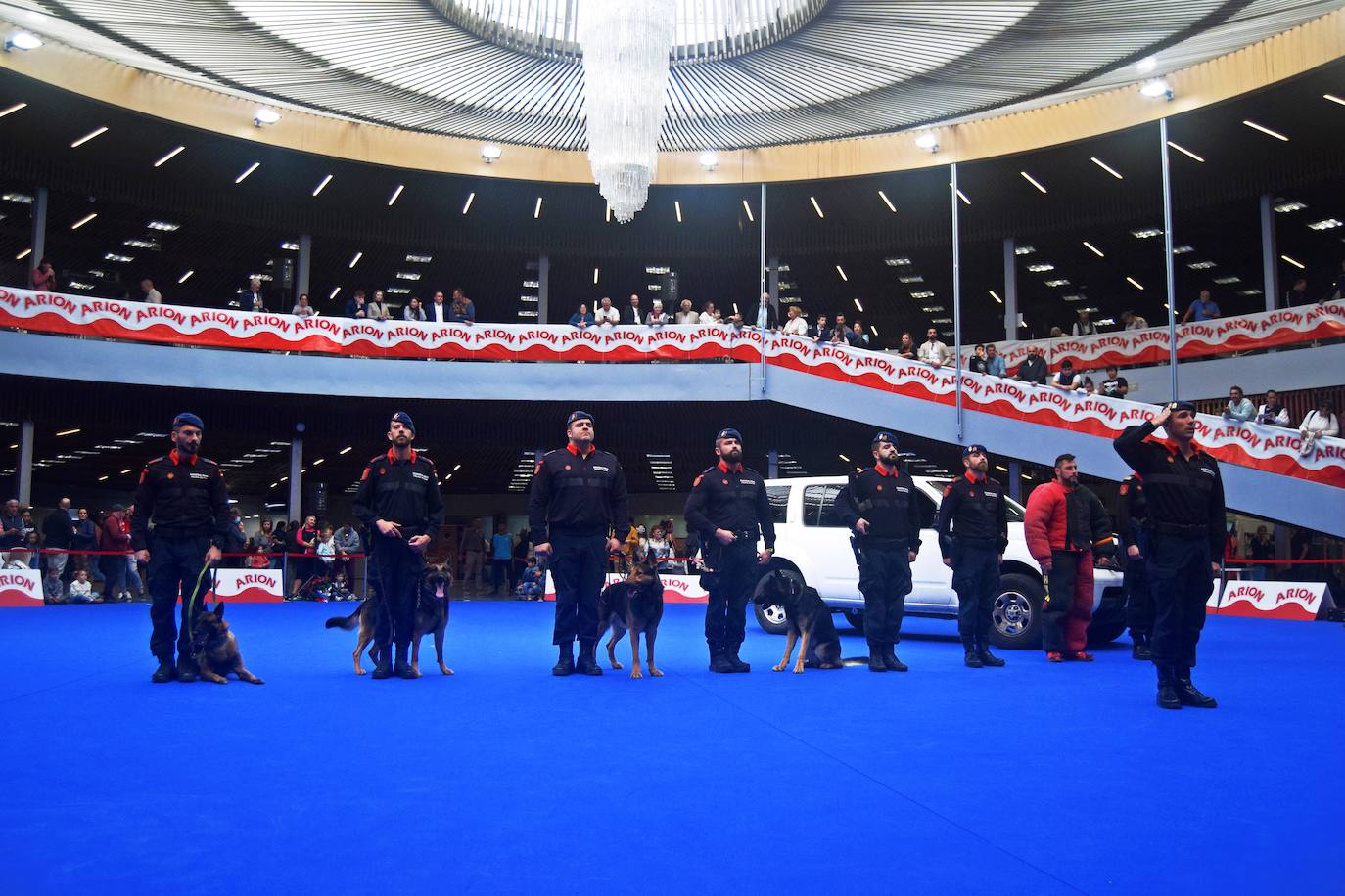 Expocan es una de las ferias de perros con más solera de toda Andalucía (35 ediciones), y está organizada por la Sociedad Canina de la Costa del Sol