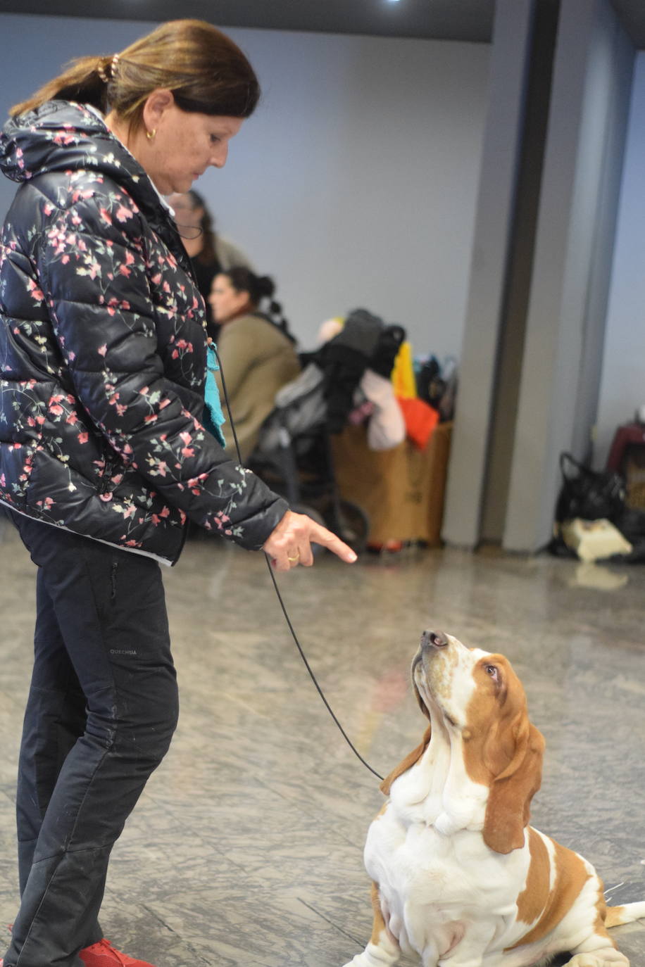 Expocan es una de las ferias de perros con más solera de toda Andalucía (35 ediciones), y está organizada por la Sociedad Canina de la Costa del Sol