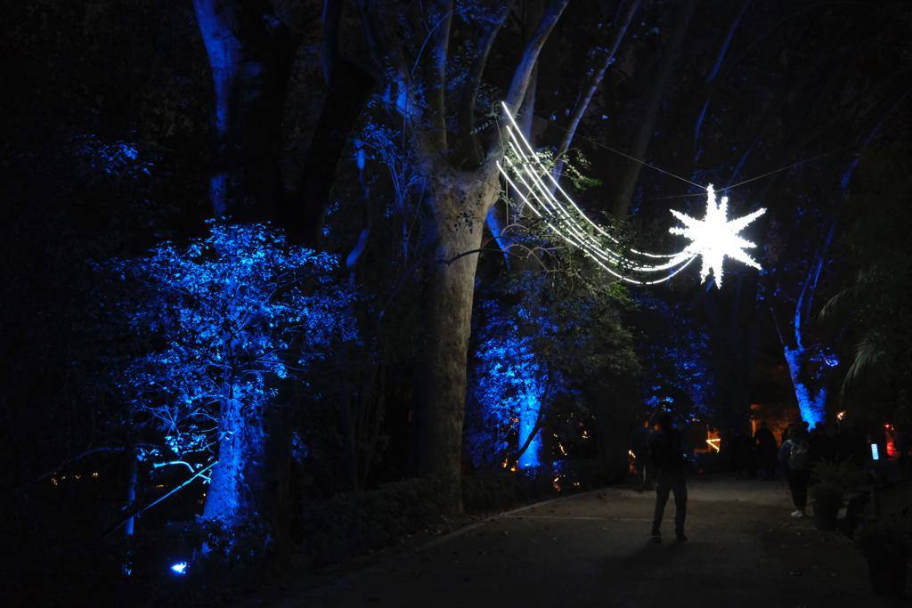El espectáculo lumínico cuenta con millones de puntos de luz y se podrá visitarse hasta el 8 de enero