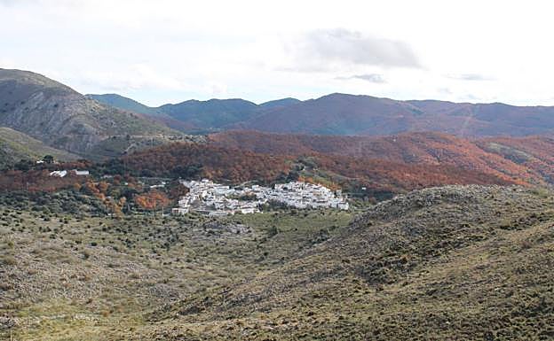 Parauta ofrece un bonito contraste cromático.