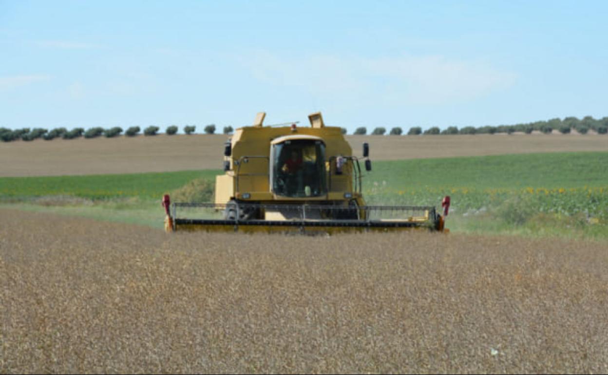 Asaja-A valora que la Junta contemple al sector como «uno de los pilares fundamentales» de su política presupuestaria