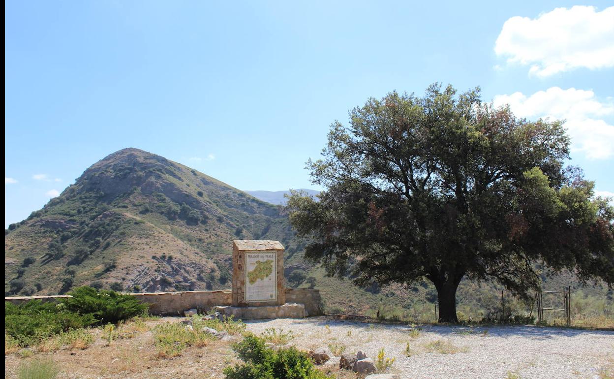 Miradores. A lo largo de esta parte de la carretera de Ronda a Algeciras hay varios miradores. 