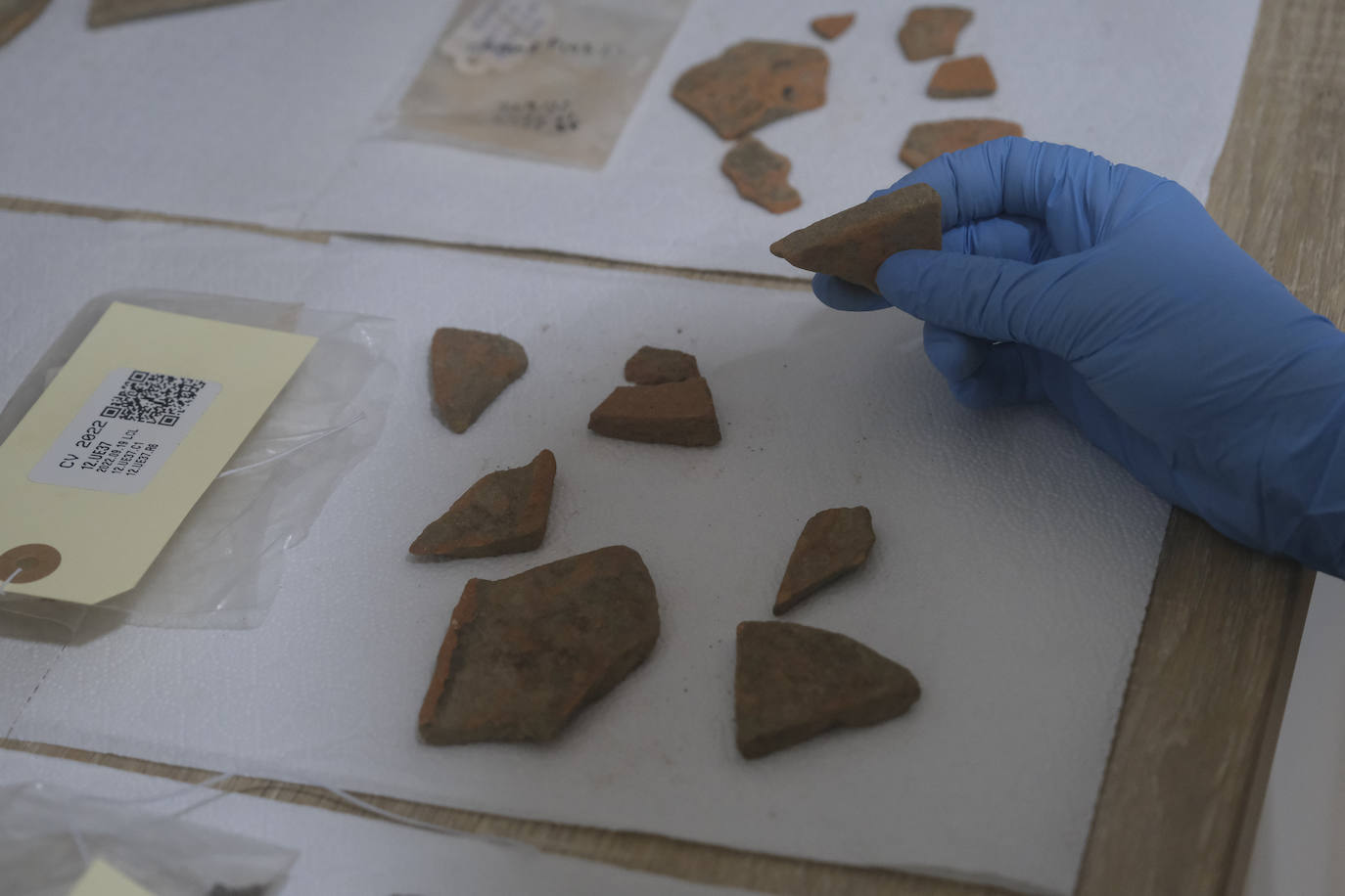 Fotos: Tras los secretos arqueológicos de Cerro del Villar