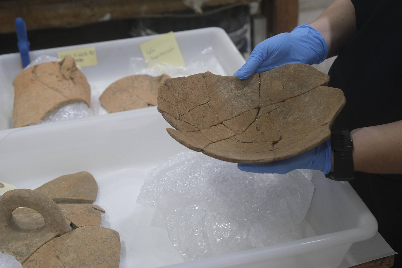 Fotos: Tras los secretos arqueológicos de Cerro del Villar