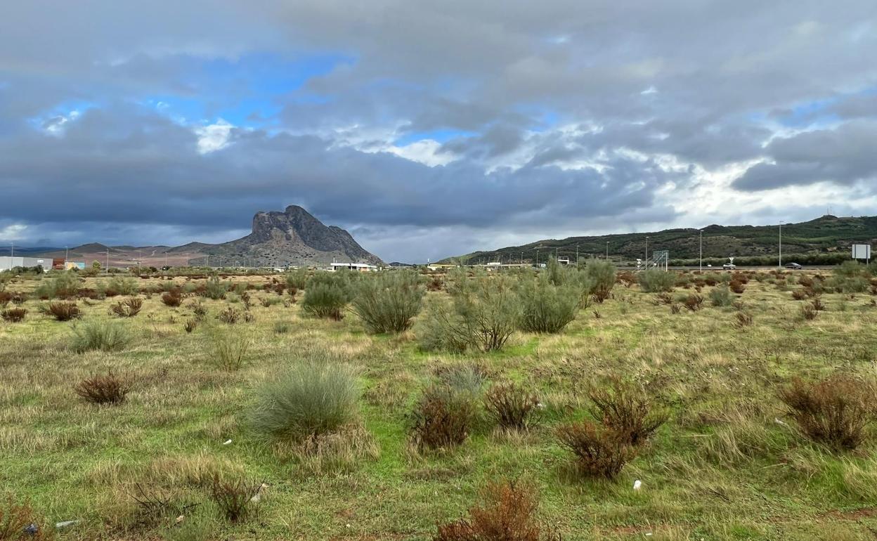 Terrenos en el Parque Empresarial de Antequera que Ikea ha adquirido. 