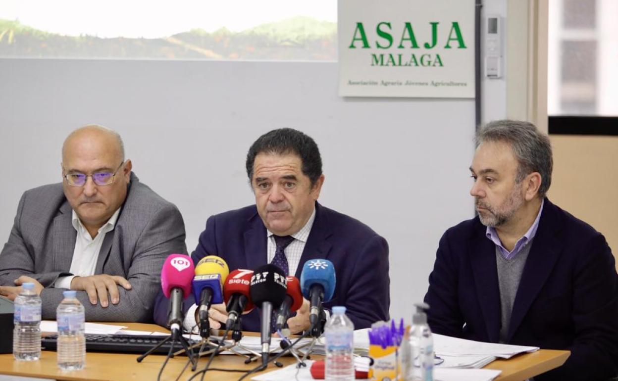Dirigentes de Asaja hacen un balance de lo que ha sido el año 2022 para el campo malagueño, en la sede la asociación. 