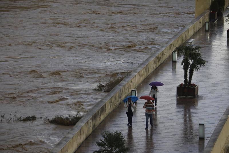 Las precipitaciones serán intensas hoy en distintos puntos de Andalucía. 