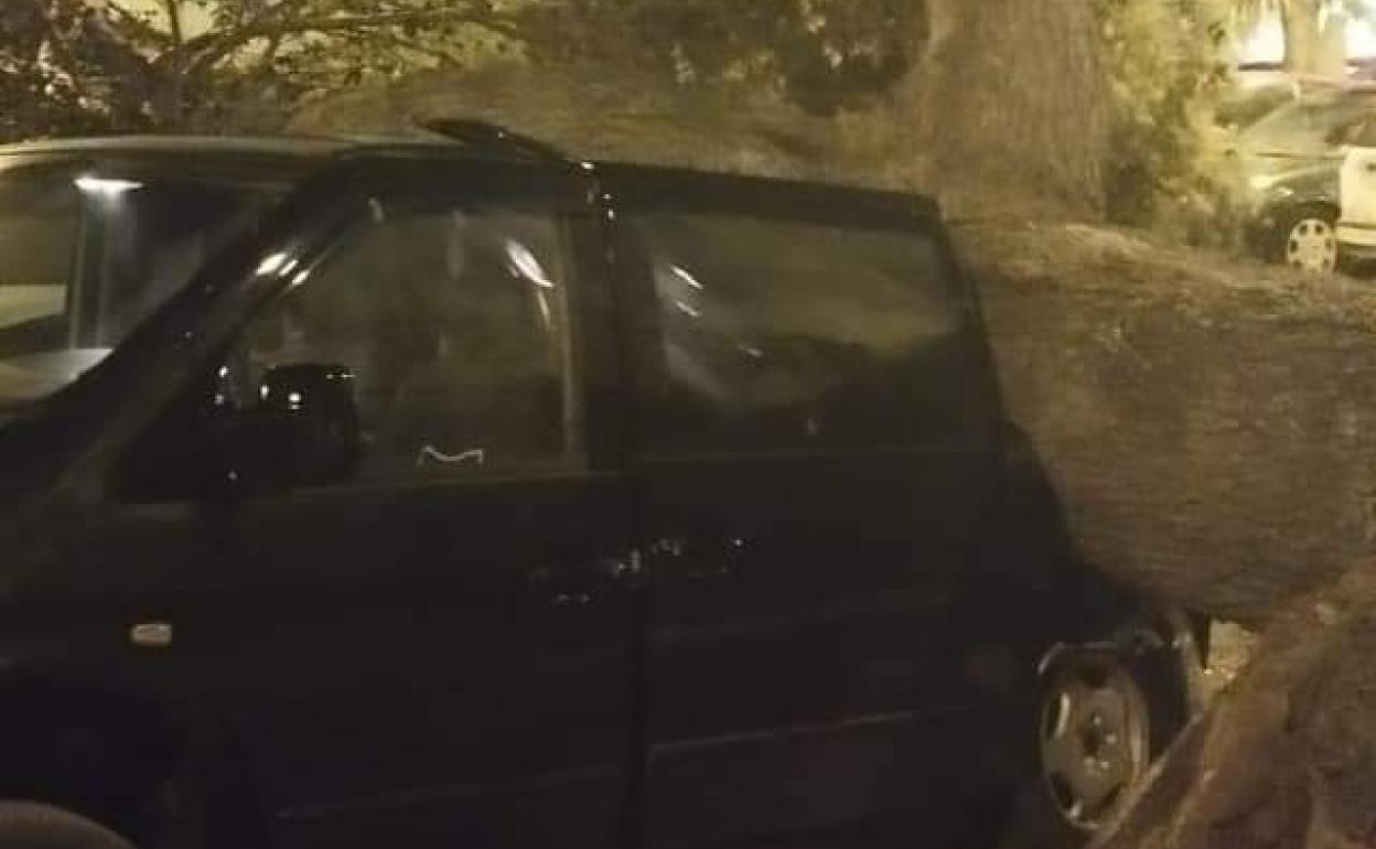 Un árbol cae y destroza una decena de vehículos en Arroyo de la Miel