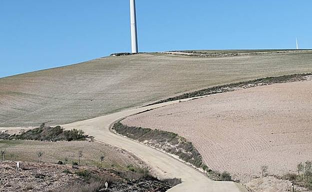 Viento. En el parque eólico de los Barrancos aguarda una original ruta de senderismo. 