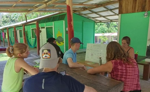 Imagen principal - Arriba, el grupo de voluntarios con el que Martínez compartió su estancia; abajo a la izquierda, dos crías de tortuga laúd, y a la derecha, portada del libro benéfico. 