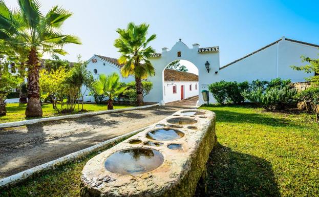 Casablanca. En las afueras de Pizarra está el museo que alberga la colección de Hollander. 