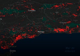 Málaga es la segunda provincia andaluza más afectada por los incendios forestales